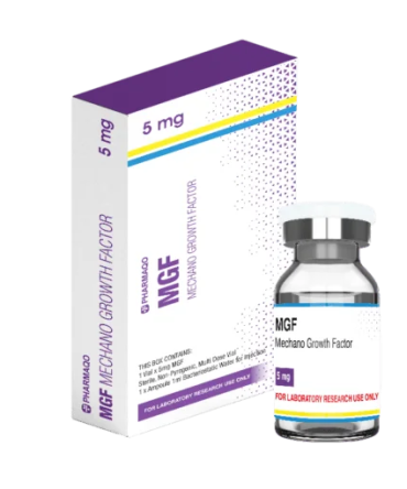 MGF (Mechano Growth Factor)