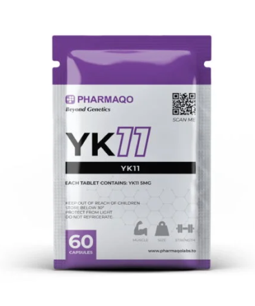 YK11